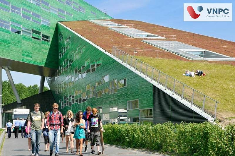 Đăng nhập King88 vina nhận +888K hà lan ngành marketing